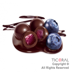 ARANDANOS CON COBERTURA S/AMARGA  X 500gr CHOCOLART
